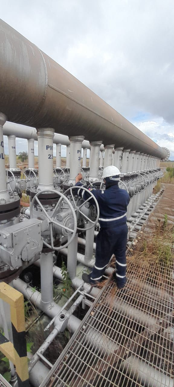 Trabajos y trabajadores de Del Sur - separador LPG