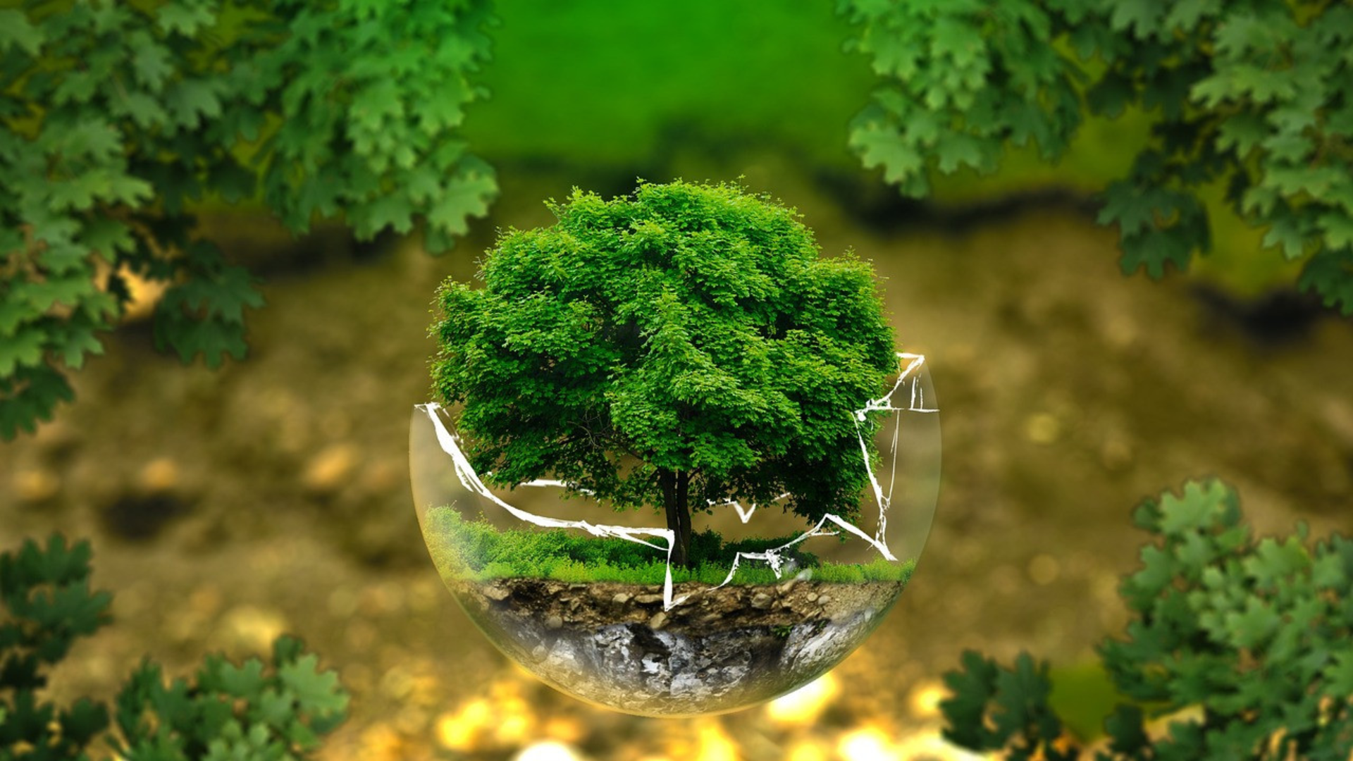 Compromiso ambiental de RIHERCA